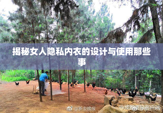 揭秘女人隐私内衣的设计与使用那些事