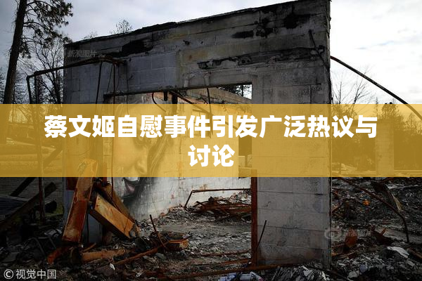 蔡文姬自慰事件引发广泛热议与讨论