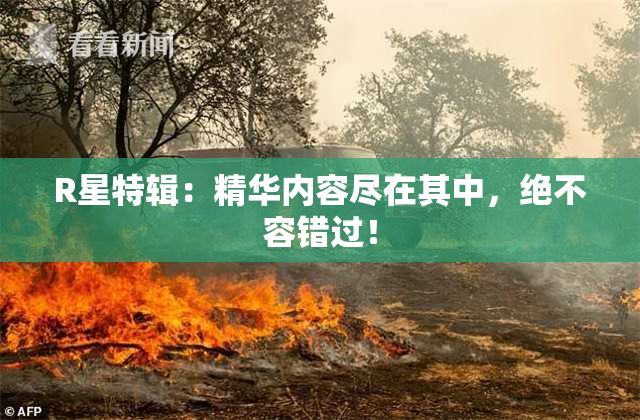 R星特辑：精华内容尽在其中，绝不容错过！