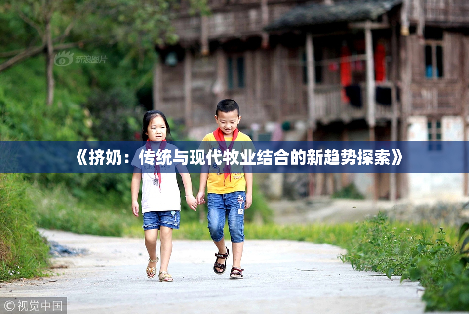 《挤奶：传统与现代牧业结合的新趋势探索》
