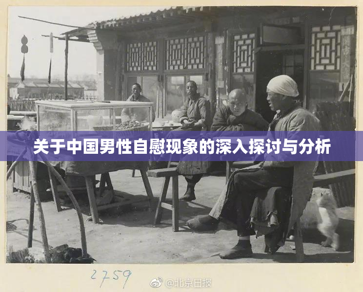 关于中国男性自慰现象的深入探讨与分析