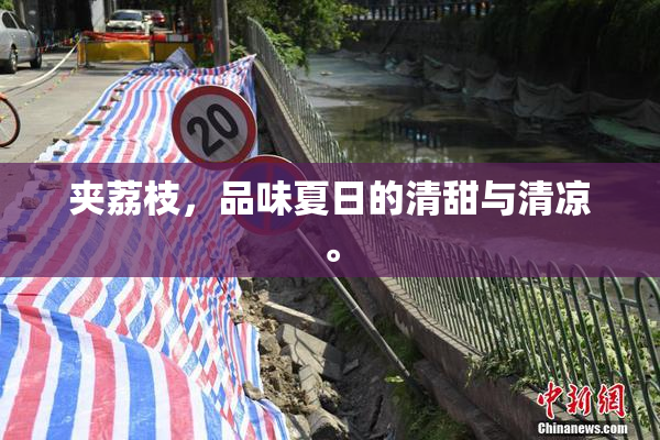 夹荔枝，品味夏日的清甜与清凉。