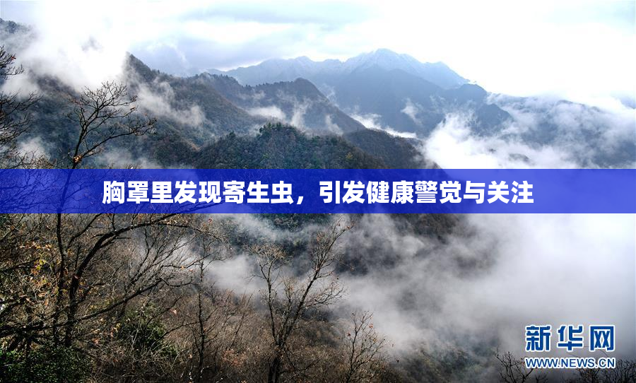 胸罩里发现寄生虫，引发健康警觉与关注