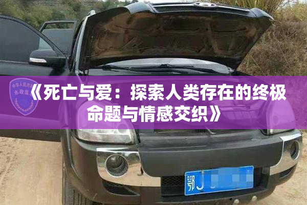 《死亡与爱：探索人类存在的终极命题与情感交织》