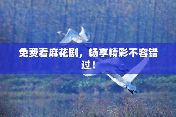 免费看麻花剧，畅享精彩不容错过！