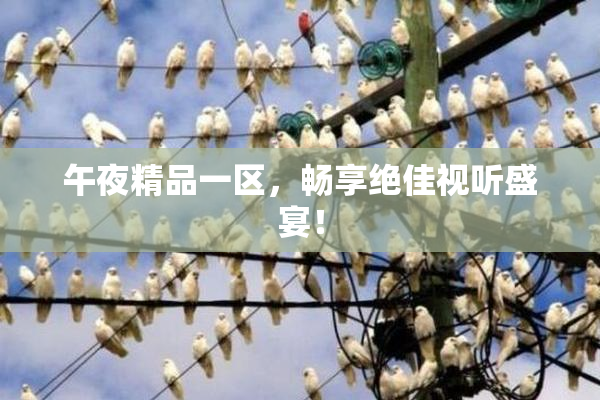 午夜精品一区，畅享绝佳视听盛宴！