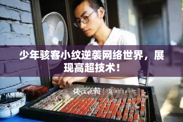少年骇客小纹逆袭网络世界，展现高超技术！