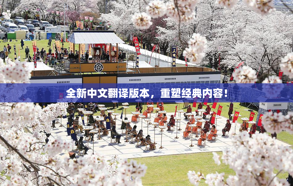 全新中文翻译版本，重塑经典内容！