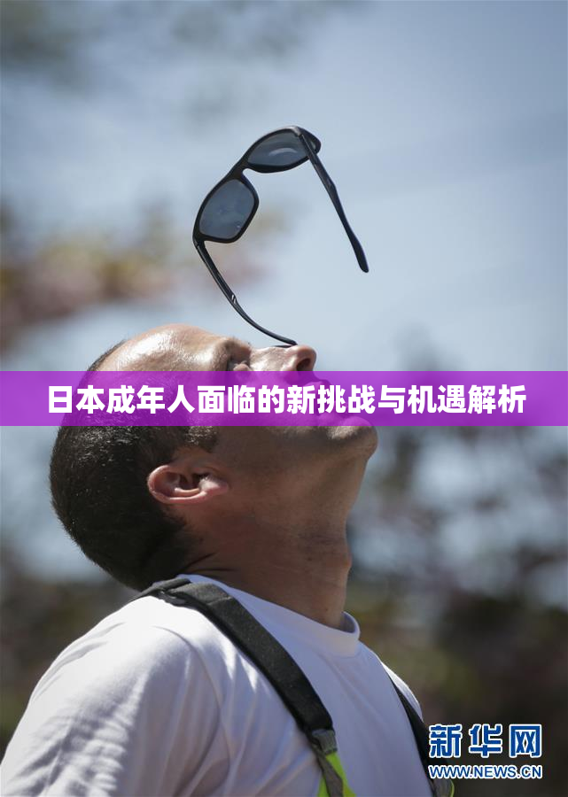 日本成年人面临的新挑战与机遇解析