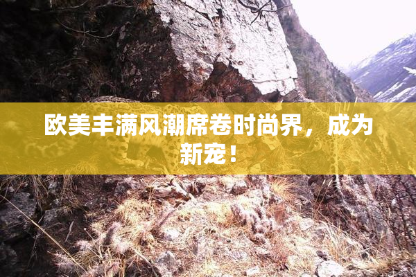 欧美丰满风潮席卷时尚界，成为新宠！