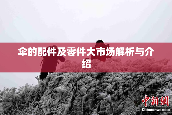 伞的配件及零件大市场解析与介绍