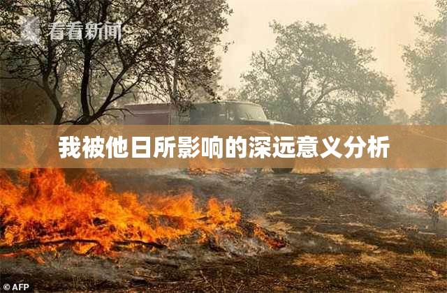 我被他日所影响的深远意义分析