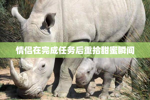 情侣在完成任务后重拾甜蜜瞬间