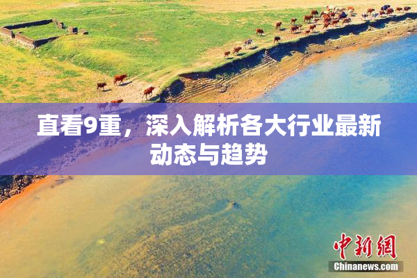 直看9重，深入解析各大行业最新动态与趋势