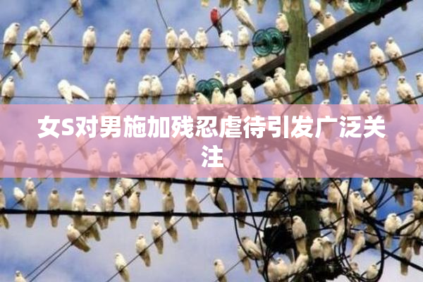 女S对男施加残忍虐待引发广泛关注