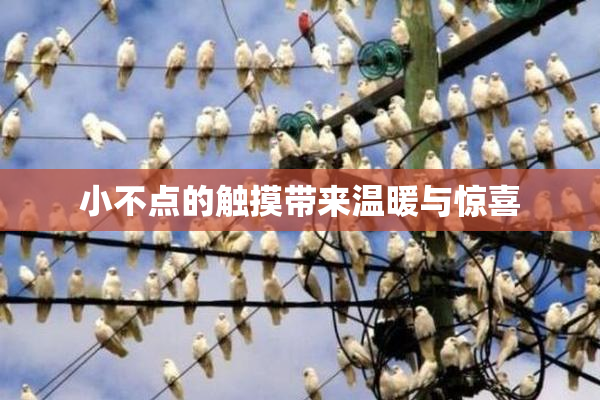 小不点的触摸带来温暖与惊喜