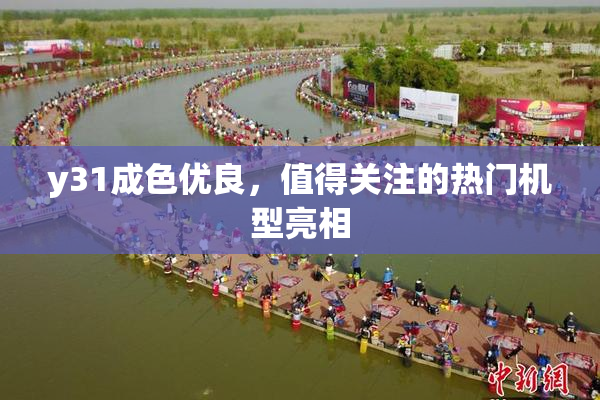 y31成色优良，值得关注的热门机型亮相