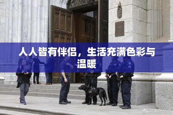 人人皆有伴侣，生活充满色彩与温暖