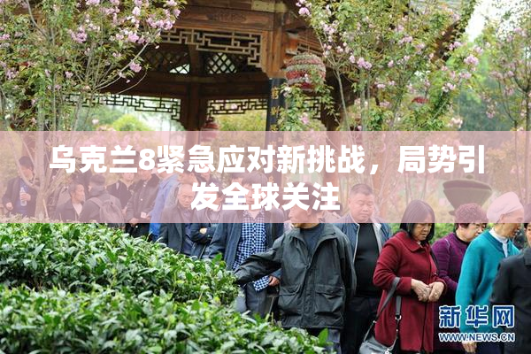 乌克兰8紧急应对新挑战，局势引发全球关注