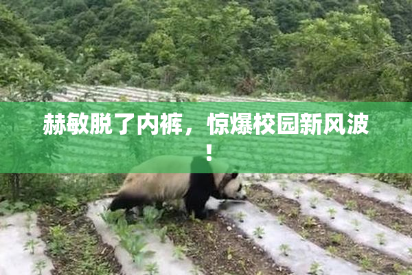 赫敏脱了内裤，惊爆校园新风波！