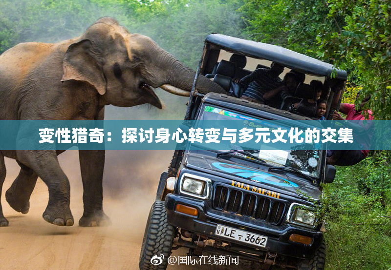 变性猎奇：探讨身心转变与多元文化的交集