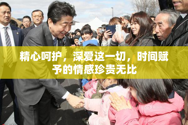 精心呵护，深爱这一切，时间赋予的情感珍贵无比