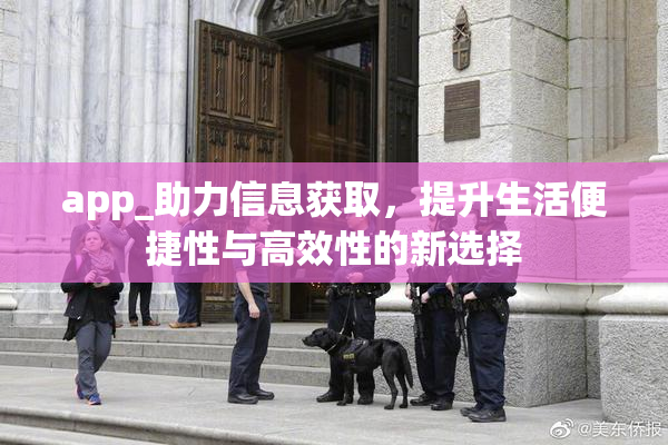 app_助力信息获取，提升生活便捷性与高效性的新选择