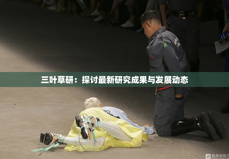 三叶草研：探讨最新研究成果与发展动态