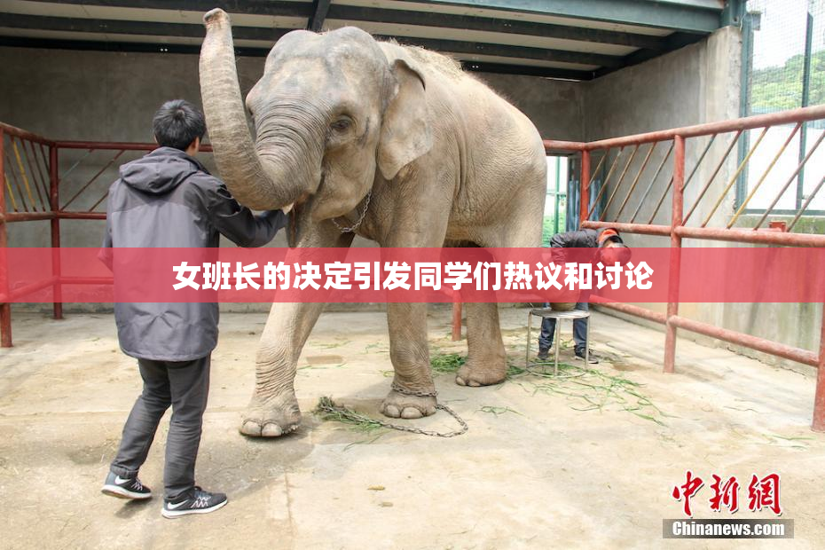 女班长的决定引发同学们热议和讨论