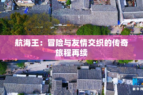 航海王：冒险与友情交织的传奇旅程再续