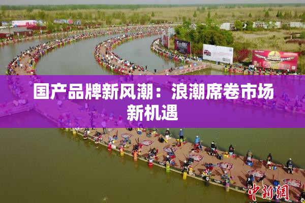 国产品牌新风潮：浪潮席卷市场新机遇
