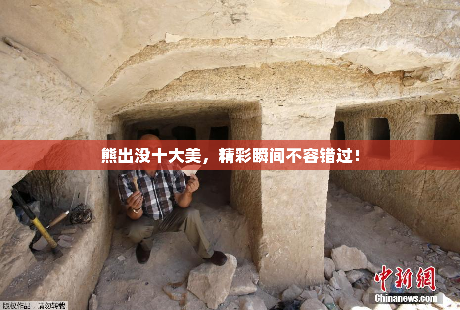 熊出没十大美，精彩瞬间不容错过！