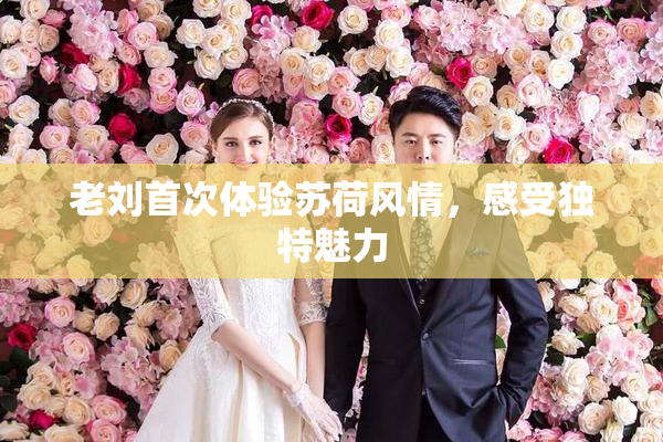 老刘首次体验苏荷风情，感受独特魅力