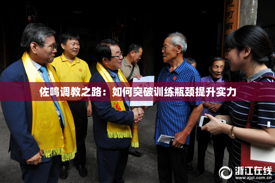 佐鸣调教之路：如何突破训练瓶颈提升实力