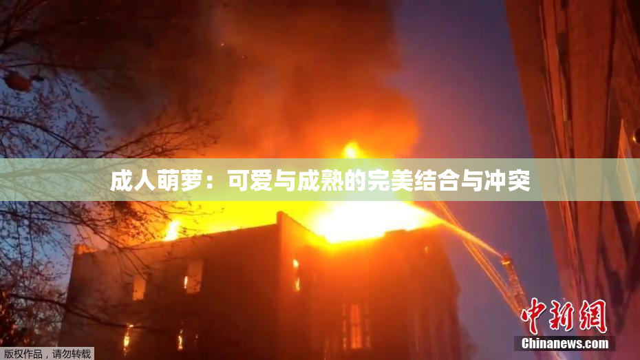 成人萌萝：可爱与成熟的完美结合与冲突