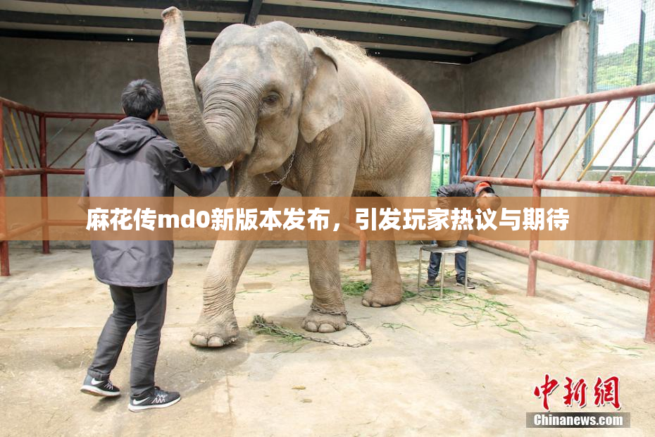 麻花传md0新版本发布，引发玩家热议与期待