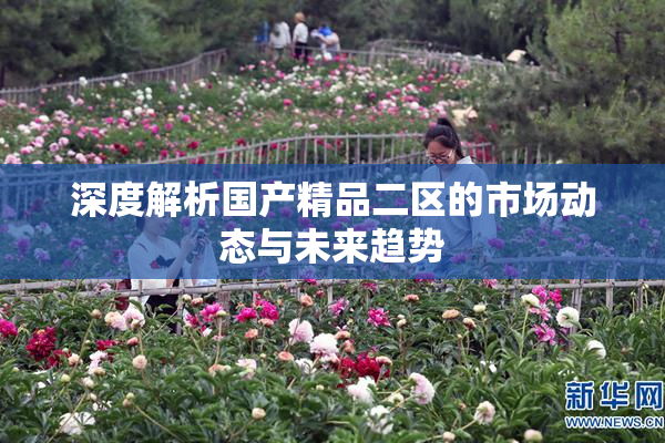 深度解析国产精品二区的市场动态与未来趋势