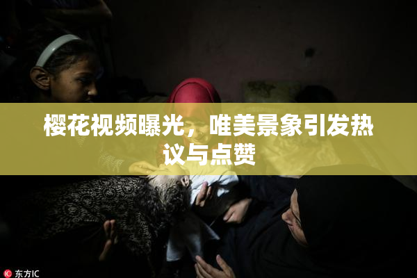 樱花视频曝光，唯美景象引发热议与点赞