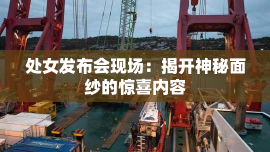 处女发布会现场：揭开神秘面纱的惊喜内容