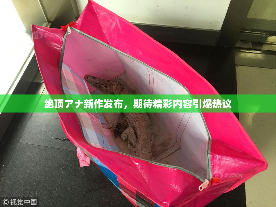 绝顶アナ新作发布，期待精彩内容引爆热议