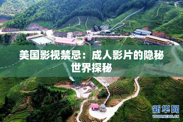 美国影视禁忌：成人影片的隐秘世界探秘