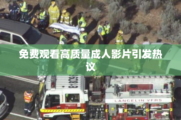 免费观看高质量成人影片引发热议