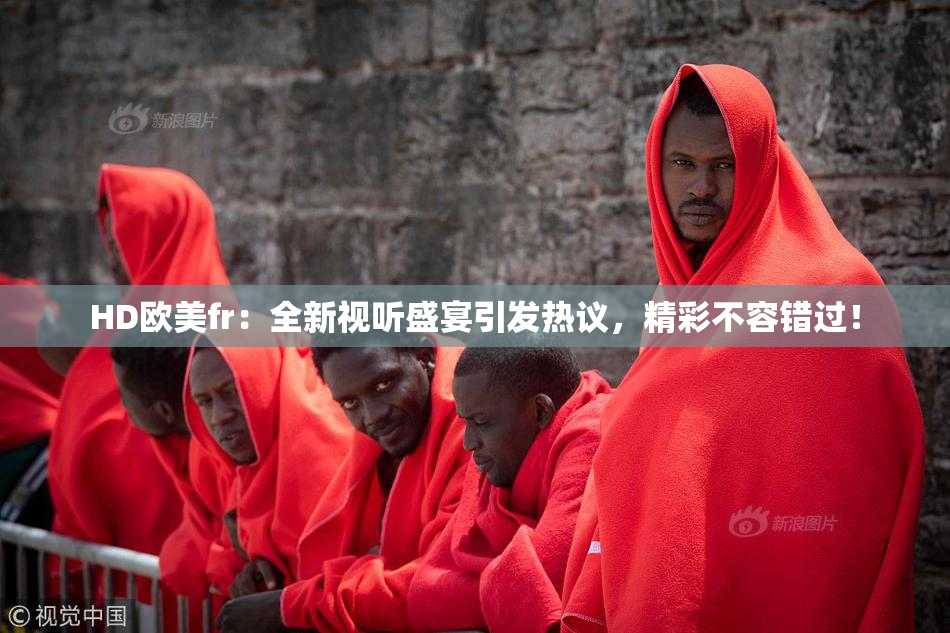 HD欧美fr：全新视听盛宴引发热议，精彩不容错过！