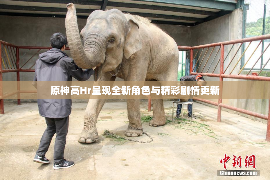 原神高Hr呈现全新角色与精彩剧情更新