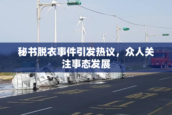 秘书脱衣事件引发热议，众人关注事态发展
