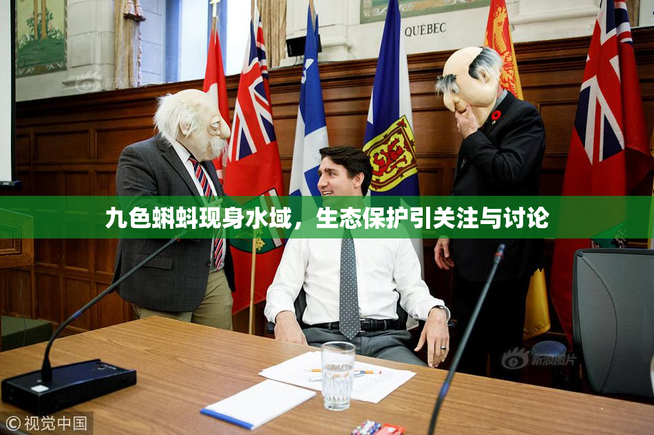 九色蝌蚪现身水域，生态保护引关注与讨论