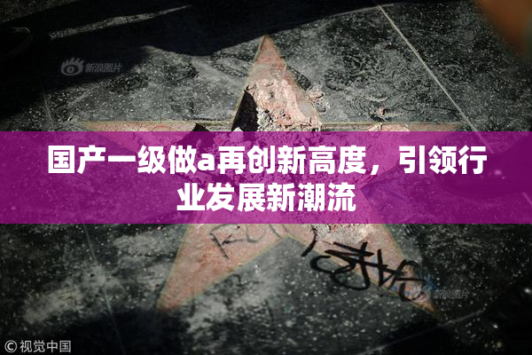 国产一级做a再创新高度，引领行业发展新潮流