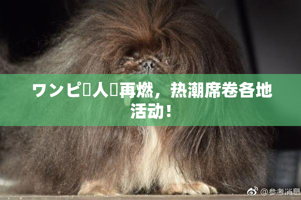 ワンピー人気再燃，热潮席卷各地活动！