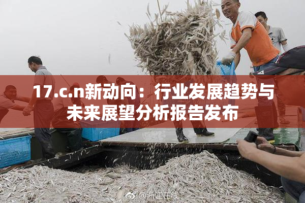 17.c.n新动向：行业发展趋势与未来展望分析报告发布
