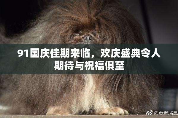 91国庆佳期来临，欢庆盛典令人期待与祝福俱至